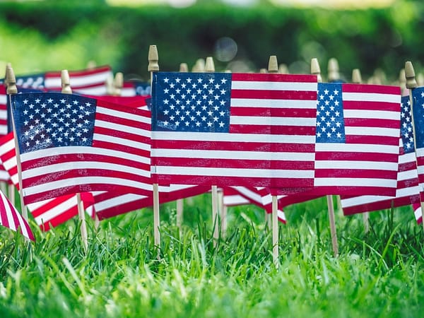 American flags on green grass